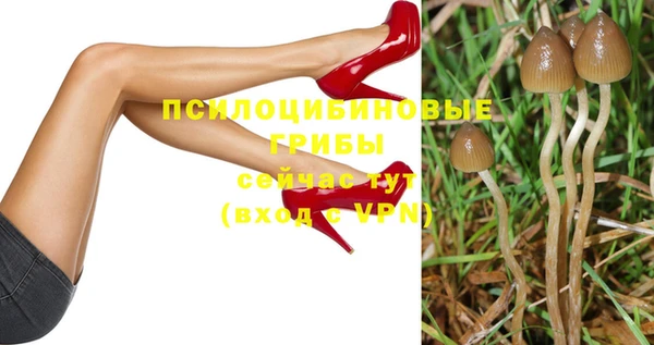 не бодяженный Алзамай